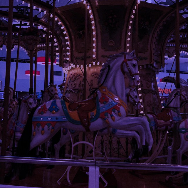 Album cover for CAROUSEL. by LilyannaMarie.